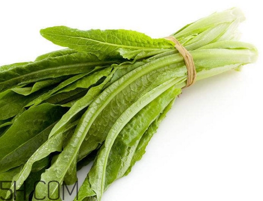 油麥菜怎么做好吃？油麥菜怎么種植