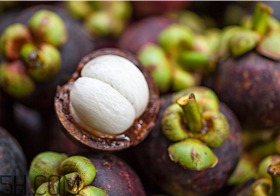 經(jīng)期可以吃山竹嗎？什么樣的山竹是新鮮的？