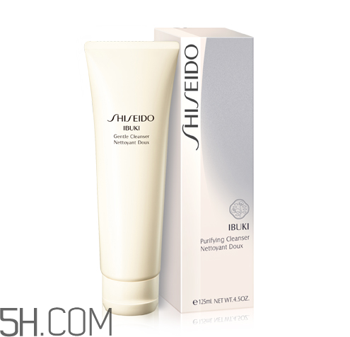 資生堂新漾美肌潔面膏好用嗎_多少錢 資生堂新漾美肌潔面膏好用嗎_多少錢