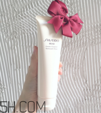 資生堂新漾美肌潔面膏好用嗎_多少錢 資生堂新漾美肌潔面膏好用嗎_多少錢