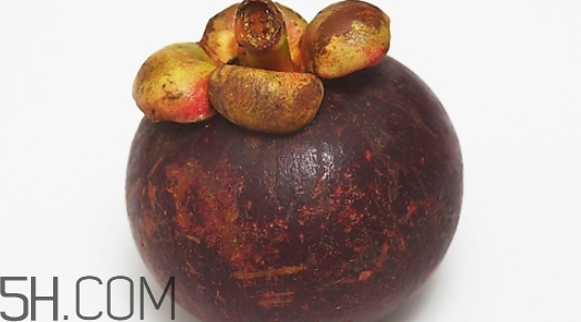 山竹能放冰箱幾天？山竹里面的核能吃嗎？