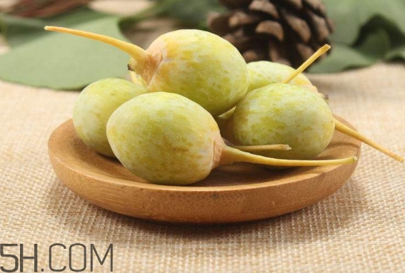 白果沒熟吃了會(huì)怎么樣？白果熟了是什么樣子的