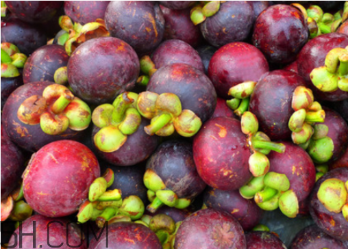 山竹苦的能吃嗎？山竹和芒果可以一起吃嗎？