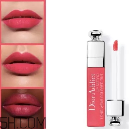 dior迪奧魅惑染唇蜜451試色 迪奧魅惑染唇蜜451適合黃皮嗎 dior迪奧魅惑染唇蜜451試色 迪奧魅惑染唇蜜451適合黃皮嗎