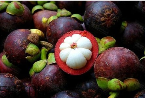 山竹吃多了有什么壞處？秋天吃山竹上火嗎？