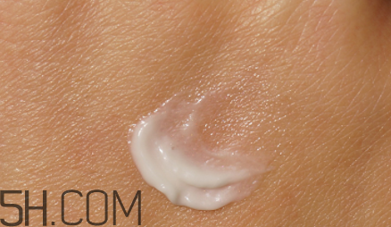 資生堂新漾美肌面霜怎么樣_多少錢 資生堂新漾美肌面霜怎么樣_多少錢