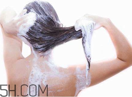 醋洗頭是白醋還是陳醋？用醋洗頭要用洗發(fā)水嗎？