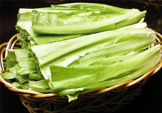 西紅柿和油麥菜能一起吃嗎？油麥菜能包餃子嗎