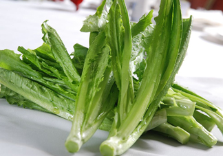 油麥菜為什么叫油麥菜？油菜和油麥菜的區(qū)別