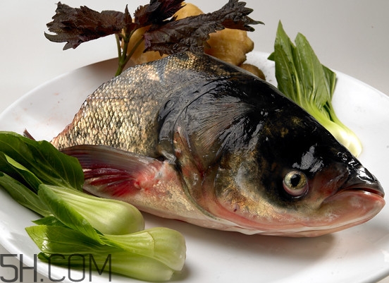 胖頭魚(yú)有什么營(yíng)養(yǎng)？胖頭魚(yú)是鰱魚(yú)嗎