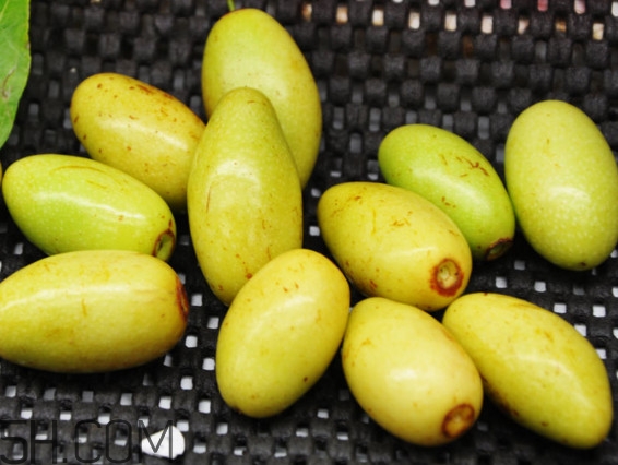 鮮棗營養(yǎng)價值有多高？鮮棗不能和什么一起吃