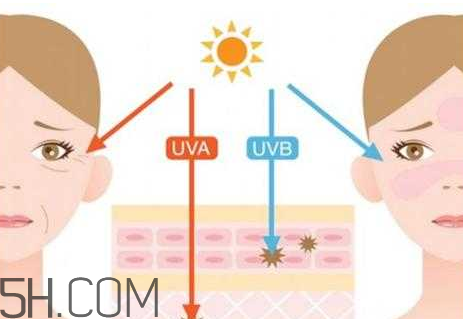 怡麗絲爾銀管防曬乳怎么樣_好用嗎 怡麗絲爾銀管防曬乳怎么樣_好用嗎