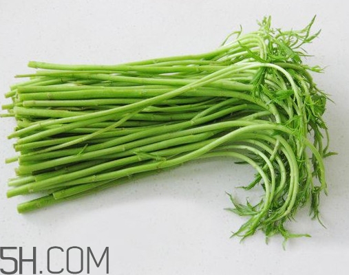 藜蒿孕婦能吃嗎？藜蒿不能和什么一起吃