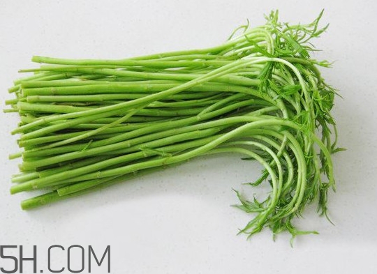 藜蒿多少錢一斤？藜蒿和蘆蒿是同一種菜嗎？