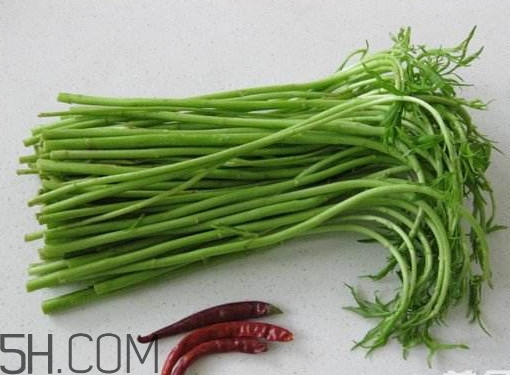 擇藜蒿手臟怎么洗？藜蒿和水芹菜的區(qū)別