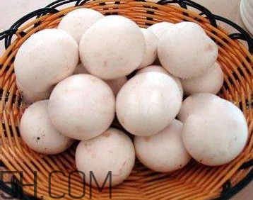 口蘑的口字是怎么來的？口蘑怎么清洗