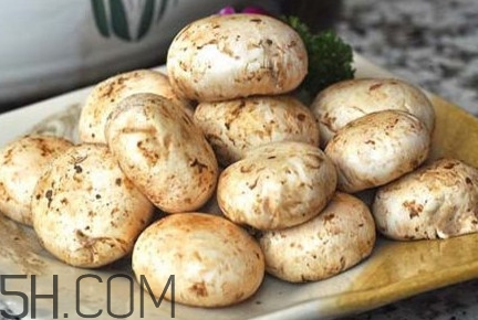 口蘑能放幾天？口蘑能放冰箱嗎