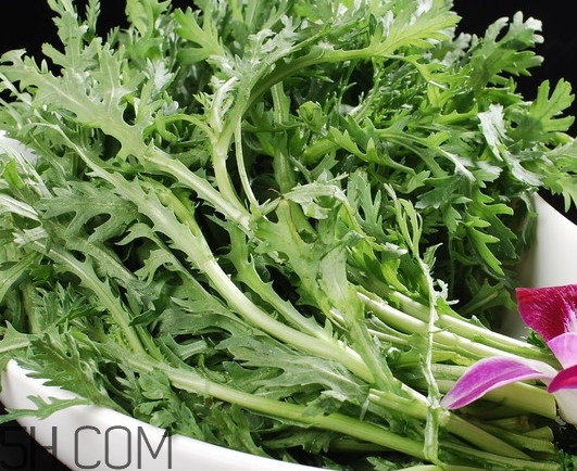 皇帝菜是什么樣子？皇帝菜又叫什么菜