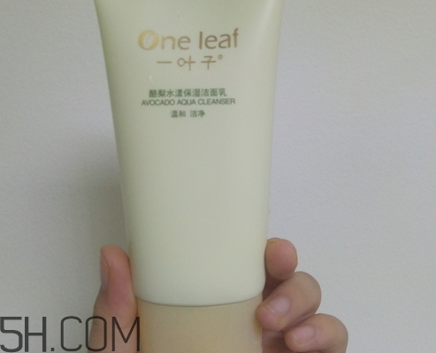 一葉子洗面奶怎么樣_一葉子洗面奶好用嗎 一葉子洗面奶怎么樣_一葉子洗面奶好用嗎