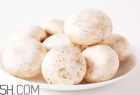 口蘑怎么挑選？口蘑有毒嗎