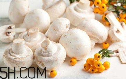 口蘑怎么吃？口蘑不能和什么一起吃