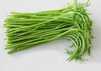 藜蒿多少錢一斤？藜蒿和蘆蒿是同一種菜嗎？