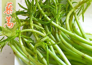 藜蒿什么季節(jié)有？藜蒿是發(fā)物嗎