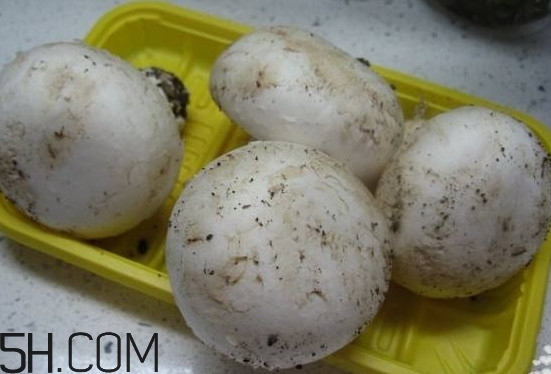 口蘑多少錢(qián)一斤？口蘑怎么保存