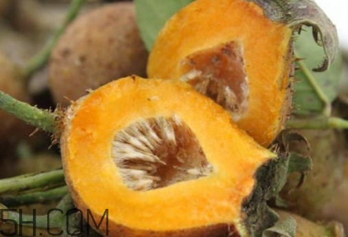 刺梨是酸性還是堿性？刺梨是涼性還是熱性