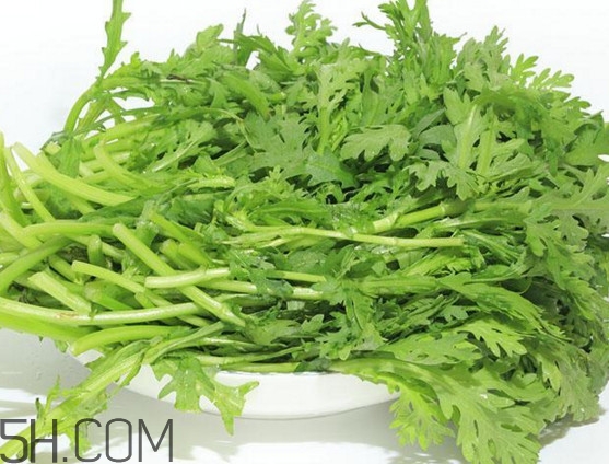 皇帝菜與什么煲湯好吃？皇帝菜性寒嗎