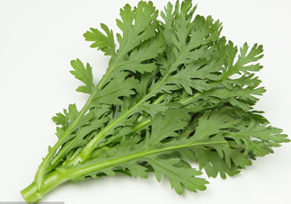 皇帝菜是什么樣子？皇帝菜又叫什么菜