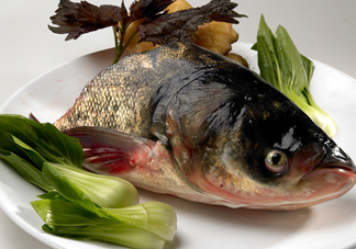 胖頭魚吃什么？胖頭魚怎么殺