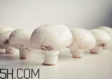 口蘑怎么吃？口蘑不能和什么一起吃