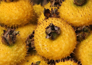 刺梨是酸性還是堿性？刺梨是涼性還是熱性