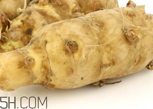 菊芋是什么？菊芋可以當姜使用嗎？