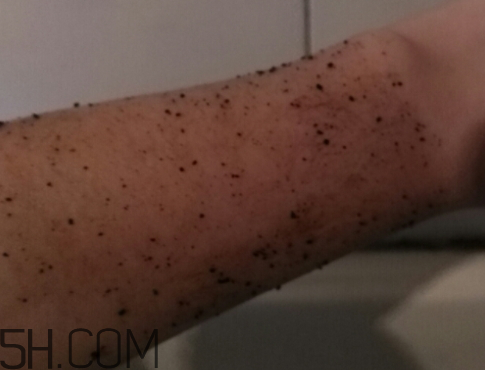 澳洲body咖啡身體磨砂膏怎么樣？多少錢？