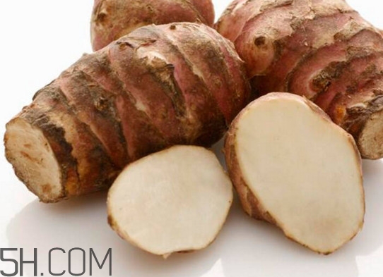 菊芋是什么？菊芋可以當姜使用嗎？