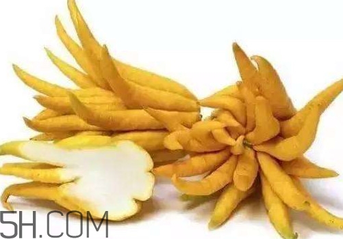 佛手柑是佛手瓜嗎？佛手柑和佛手瓜的區(qū)別