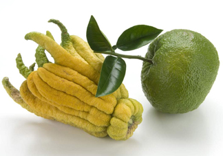 佛手是什么水果？佛手柑怎么保存