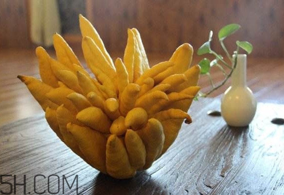 佛手柑怎么腌制？佛手柑可以生吃嗎