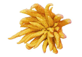 佛手柑怎么吃？佛手柑是什么味道