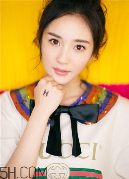 膽結(jié)石會(huì)不會(huì)痛？膽結(jié)石會(huì)自己消失嗎？