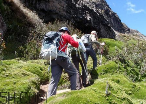 爬山后腿部酸痛怎么辦？如何防止爬山后腿疼？