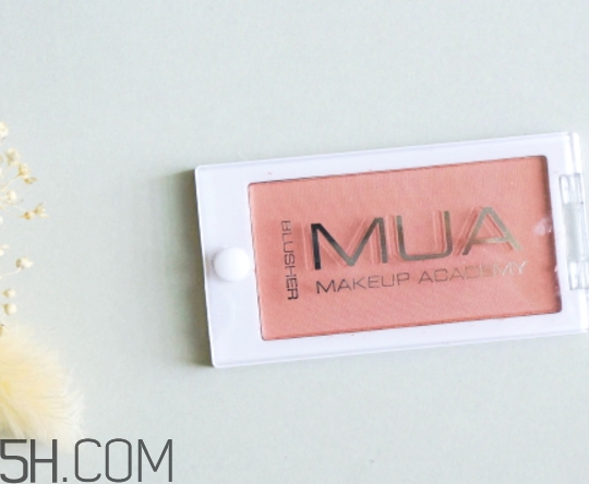 mua腮紅色號 mua腮紅全試色 mua腮紅色號 mua腮紅全試色