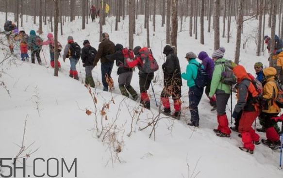 老年人爬山好嗎？下雪可以爬山嗎？