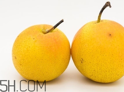 南果梨多少錢一斤 南果梨是香水梨嗎 南果梨多少錢一斤 南果梨是香水梨嗎