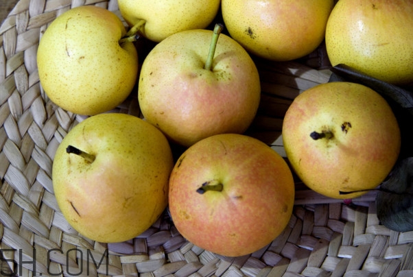 沒(méi)有熟透的南果梨能吃嗎？南果梨怎么做酒