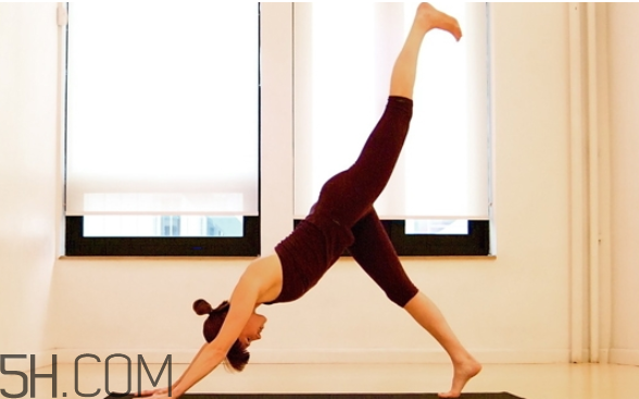 練瑜伽能排毒嗎？瑜伽可以天天練嗎？