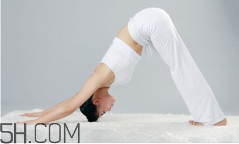 練瑜伽瘦腿最佳時(shí)間 辦公室瑜伽適合人群