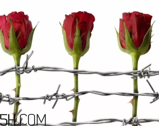 serge lutens蘆丹氏柏林少女香水香評(píng) 柏林少女香水介紹 serge lutens蘆丹氏柏林少女香水香評(píng) 柏林少女香水介紹